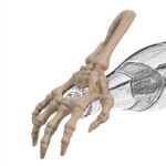 15143 Flasköppnare i gjutjärn utformad som en skeletthand . En praktisk öppnare som också fungerar som en dekorativ detalj, perfekt för barhörnan.