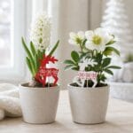 Blompinnar i form av renar erbjuder ett enkelt sätt att skapa julstämning i ditt hem. Perfekt i en kruka med t ex en murgröna eller en julstjärna.