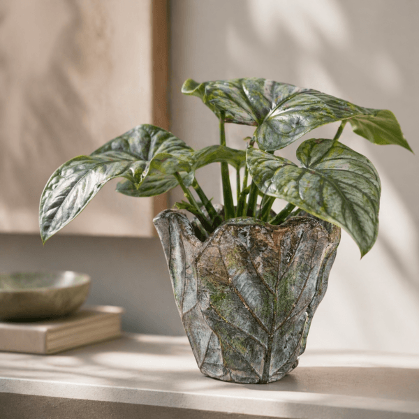 Kruka i betong med mjukt formade blad i relief som ger djup och karaktär. En dekorativ kruka som lyfter växten och passar i hemmets alla rum.