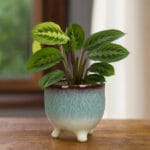 Stilren kruka i stengods med melerad glasyr och tre fötter. Diameter 12 cm, höjd 12 cm. Perfekt för gröna växter, örter eller suckulenter.