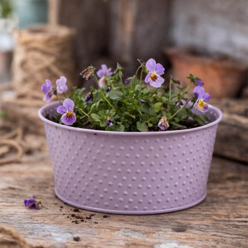 Rund kruka i lila plåt med diskret prickmönster i relief som ger ytan struktur och karaktär. Diameter 15 cm, höjd 8,5 cm. Passar för mindre växter.