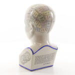 Frenologihuvud i porslin