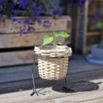 Blomkruka i flätad rotting med dekorativa ankfötter i metall. Ø 14,5 cm. Perfekt för pärlhyacint och mininarcisser till vår och påsk.