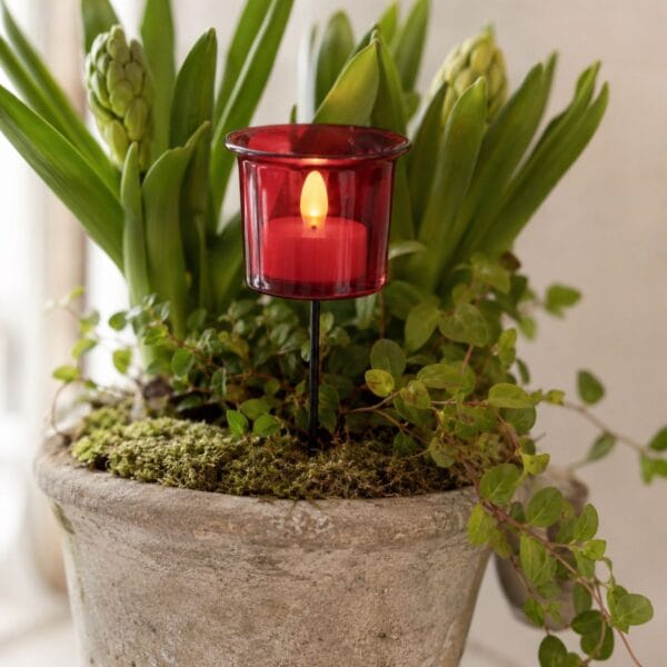 Dekorera din blomgrupp, blomkruka eller rabatt med en eller flera av den här ljushållaren i rött glas. Perfekt för ett värmeljus med batteri. Diameter 6,3 cm.