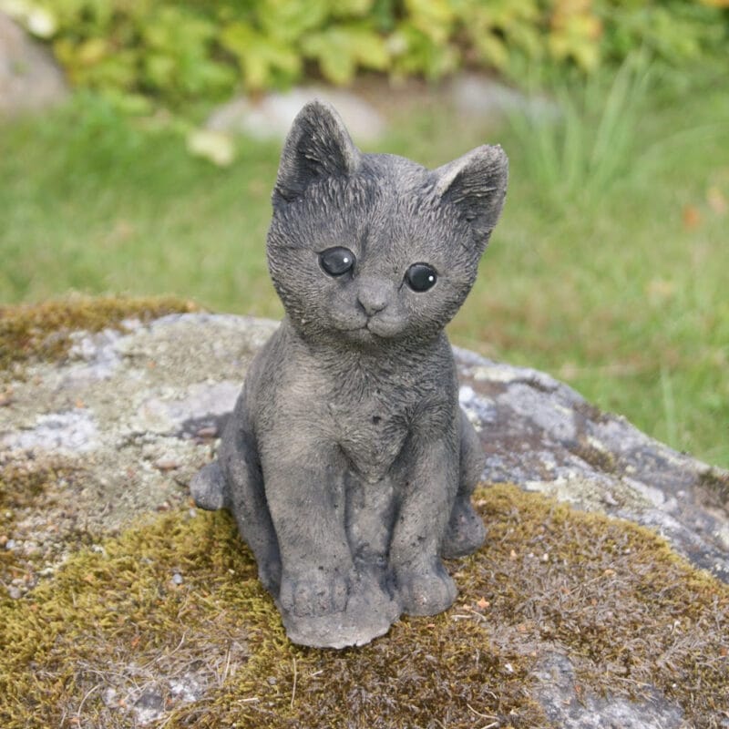 ba-kattunge20-2 Handgjuten kattunge i betong där kattens nyfikna personlighet fångas på ett naturtroget sätt. Höjd 19 cm. En tidlös dekoration för trädgård och hem.