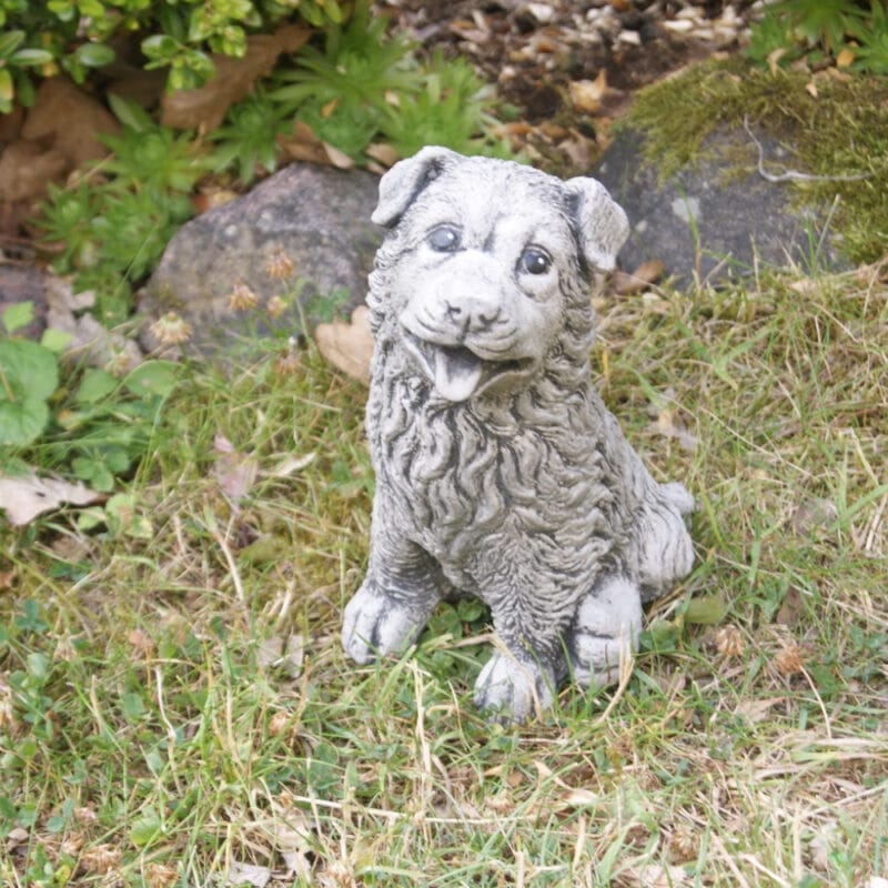 Handgjuten bordercollie i betong med naturtrogen utformning och en detaljrikedom som fångar hundens kloka uttryck. Höjd 18 cm.