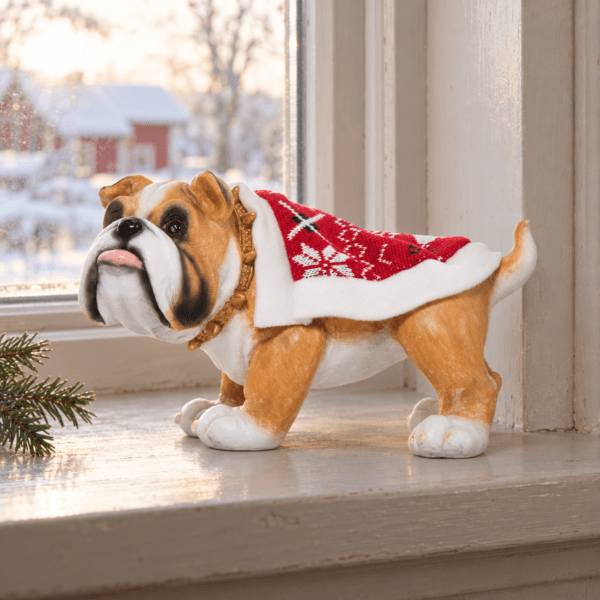 Julbulldog med röd mönstrad jultröja i personlig julmiljö vid ett fönster.