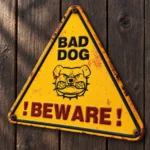Gul trekantig plåtskylt med bulldogg och texten BAD DOG och BEWARE monterad på en mörk trävägg.